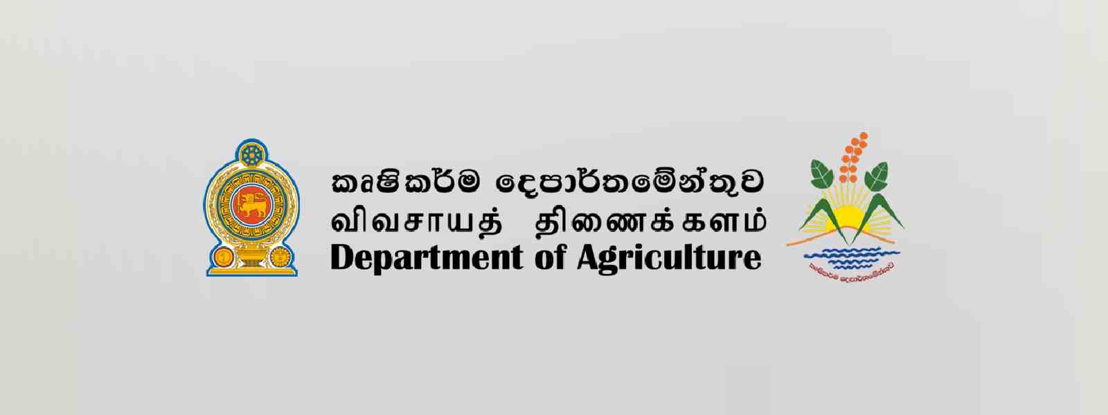 වී තොග පිළිබඳ සමීක්ෂණ වාර්තාව අද ජනපතිට..